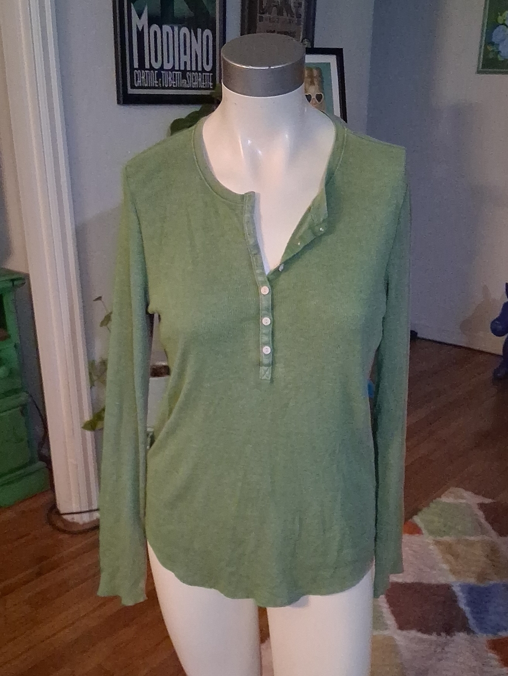aerie Long-Sleeve Green Henley Top
